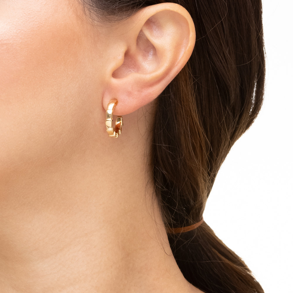 Pendientes Suzana